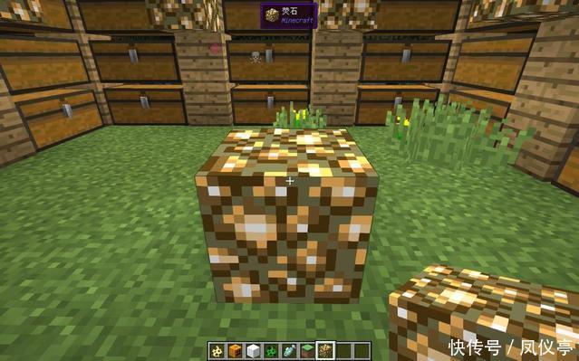来自|Minecraft有五种灯，有来自海底、有通过种植，还有1种遇水即死