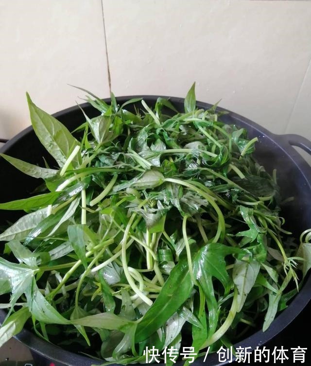 鸡蛋|入秋后,吃冬瓜吃南瓜,不如吃它,钙是鸡蛋很多倍,却才1元1斤