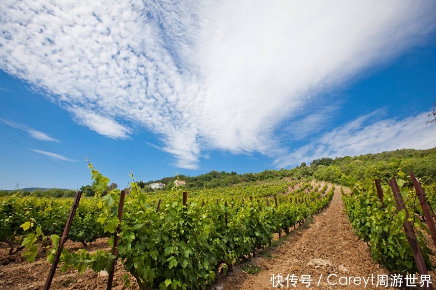 俄罗斯|俄罗斯葡萄酒,伏特加阴影中的新宠儿