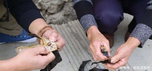 我国|原产自我国,果实在古代是贡品,儿时用它煮糖水喝,如今100元1斤