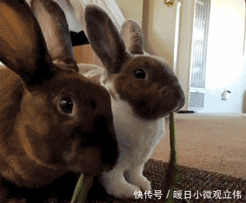 爆笑|爆笑GIF: 师傅, 你这个路绕的有点过分了啊