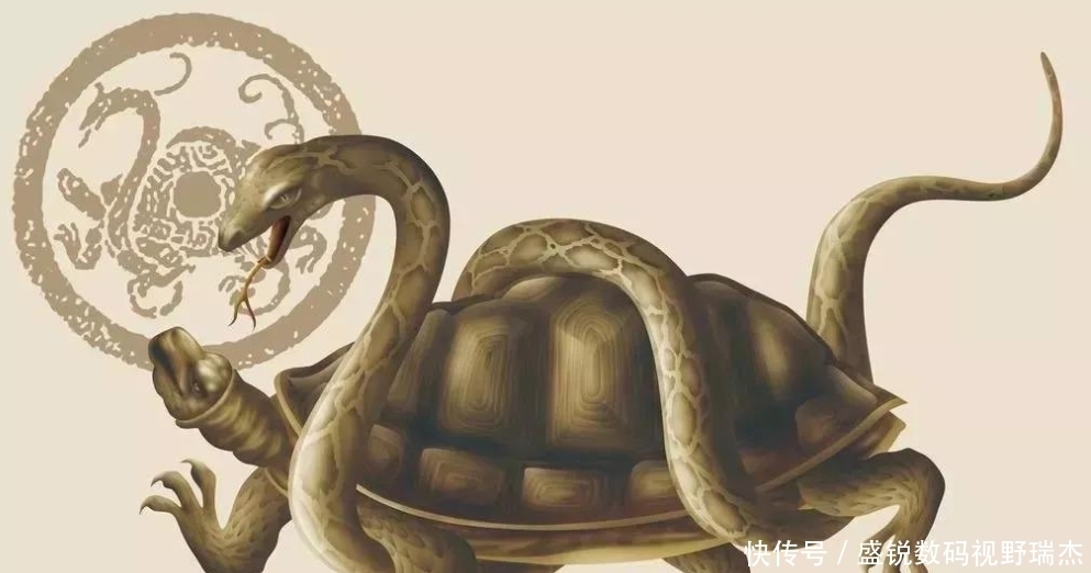  令人|古人打完水井后, 为啥要在里面放两只乌龟? 作用令人拍案叫绝