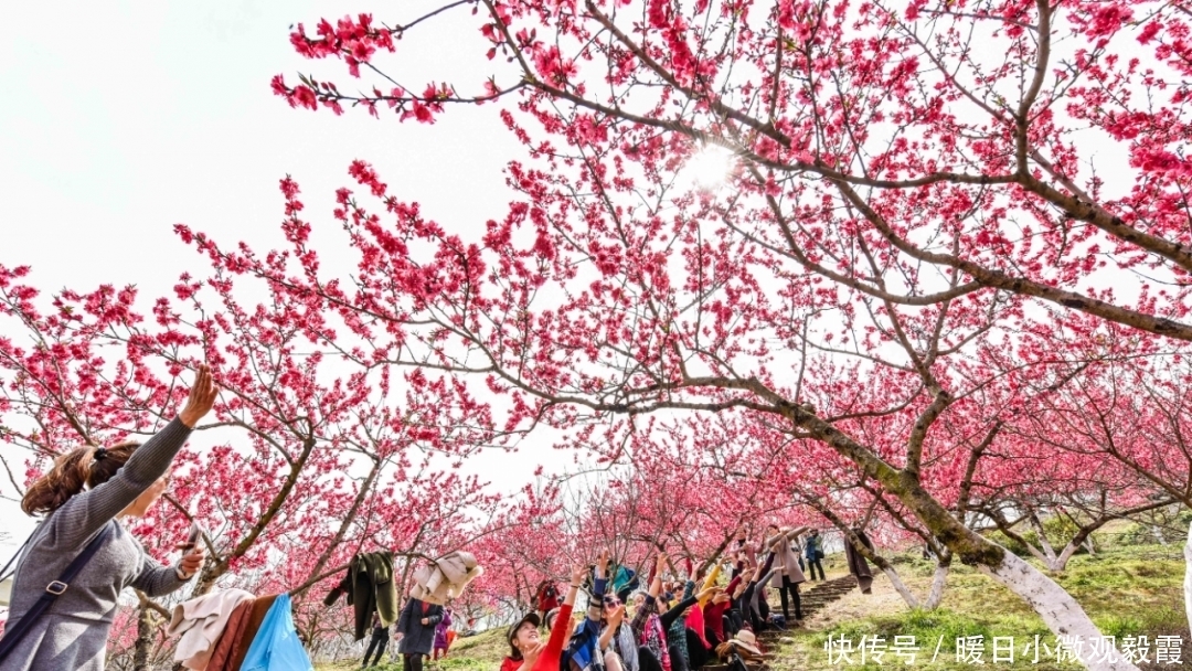  浅谈|浅谈秀丽东方IP对成都公园城市建设的借鉴作用