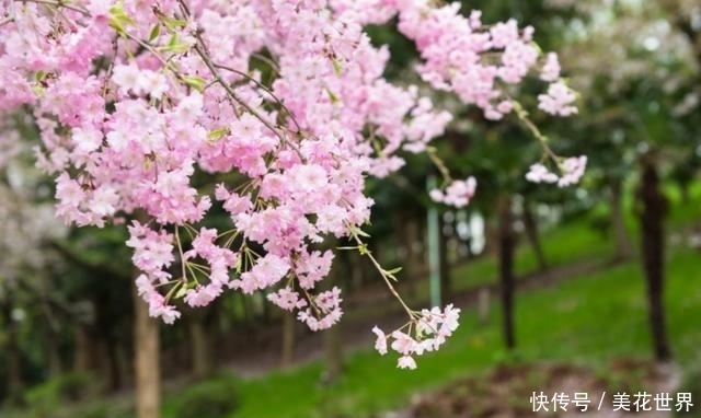  生肖鼠|9月下旬，财运顶呱呱，放手一搏收获多，所想皆如愿的4大属相