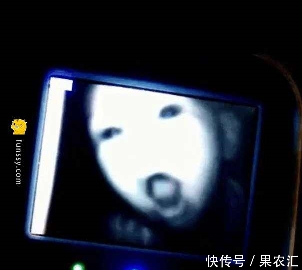 觉醒|8张「一觉醒来世界怎么变了」的照片