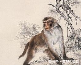 了不起|燕子不进苦寒门:金猴人,“您真了不起啊”,2020年囍!