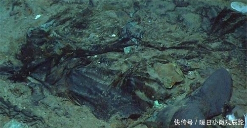 人类|泰坦尼克号的珍贵海底彩照:人类残骸清晰可见,10年后将彻底消失