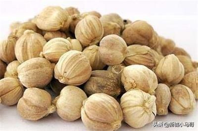 常见|二十种常见香料怎么用?一次性全告诉你!还有卤肉配方,值得收藏