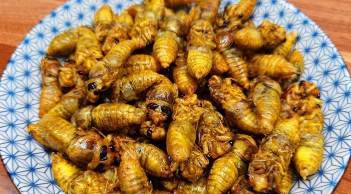  正当|立秋前，这美味抓紧吃，高营养高蛋白，现在正当季，错过再等一年