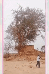 速度|搞笑GIF:两个二货开假车,速度不慢啊