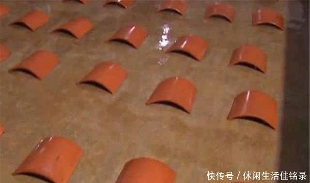 混养|水池中混养龙虾,学会这几招,不赚钱都不行