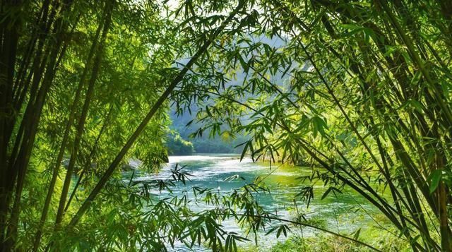 三暑|小暑，“上蒸下煮”，最热天气正在赶来“三暑”“三伏”究竟有啥联系