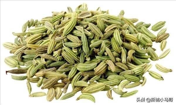 常见|二十种常见香料怎么用?一次性全告诉你!还有卤肉配方,值得收藏