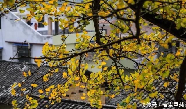 小城|广东人不能吃辣这座距省会1小时的粤北小城,能把你辣的头掉!