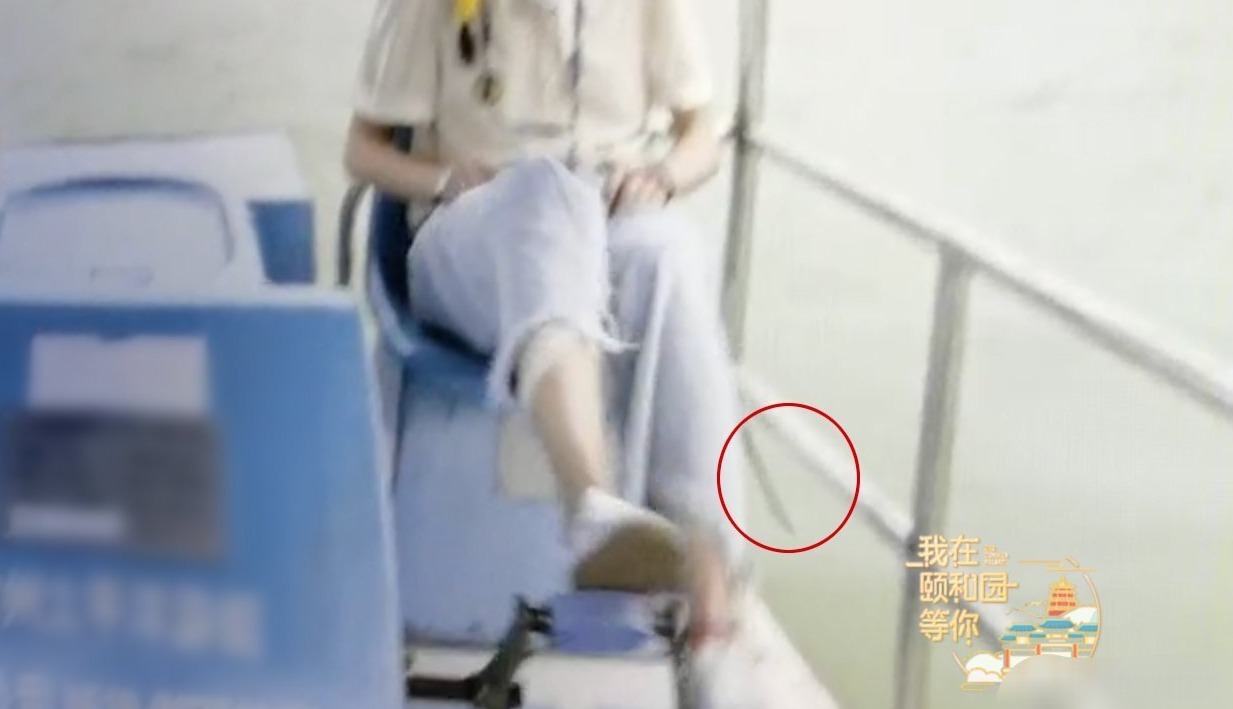 综艺|郑爽录制新综艺手机掉湖里,看到第一秒反应真的既心疼又好笑!