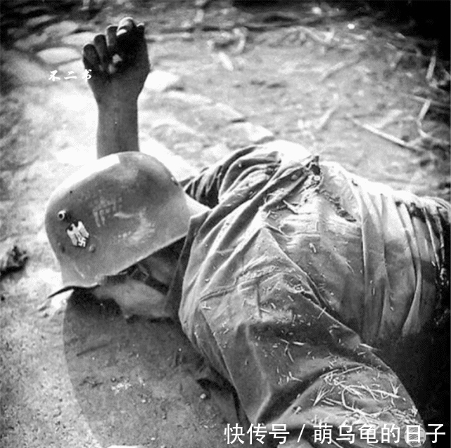 照片拍摄于二战东线|二战战场到底有多残酷？看看这些真实的老照片，战争之下满目离殇