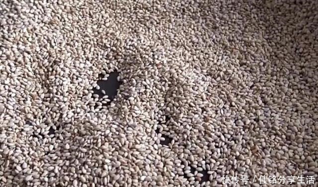 做法|自制芝麻盐,不用擀,不用捣,咸香可口,做法简单,一罐不够吃