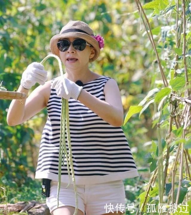 遗憾|《向往4》收官终于放大招宋丹丹回来了,大华缺席成最大遗憾