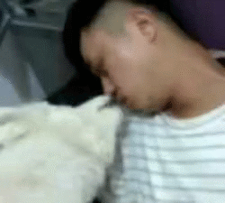 男朋友|搞笑GIF趣图：美女，你这样太费男朋友了