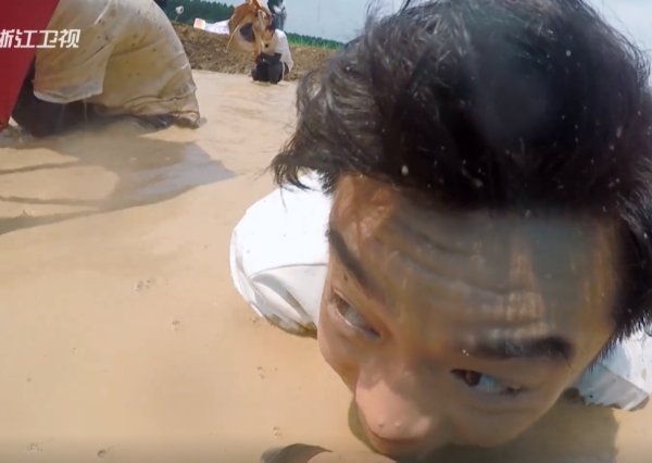  泥水|《奔跑吧》最不怕脏的嘉宾，玩游戏全程趴在泥水里，比郑恺还狠
