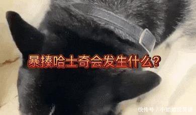 小编|“一万亿和一亿万哪个比较多?”哈哈哈哈例子太真实了