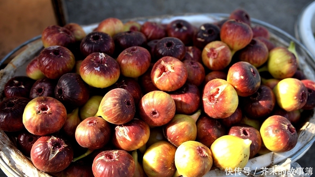 店老板|买这种水果时,就要专挑“烂”的买,水果店老板越烂越好吃