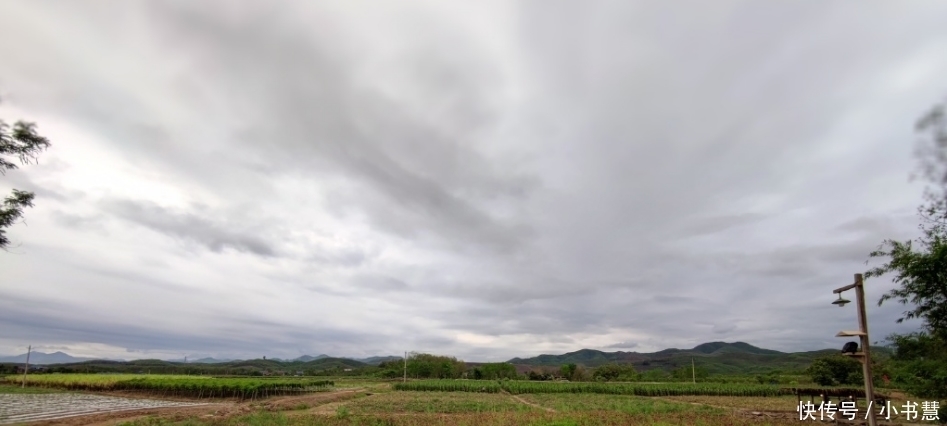  任嘉伦和谭|《向往的生活4》开录，导演发动态惹观众心疼，嘉宾阵容被称赞！