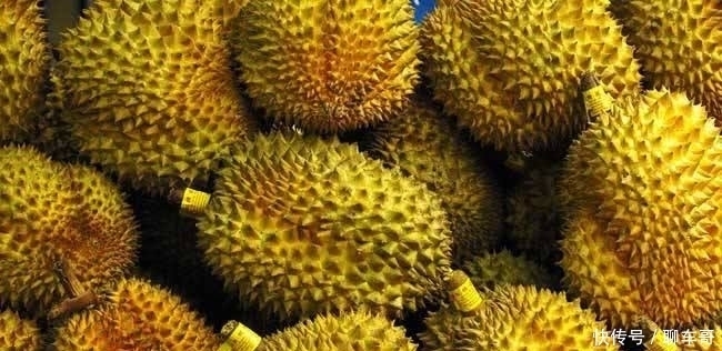 泰国人|国人最爱的爆口榴莲,泰国人却一律不吃,这是为什么?