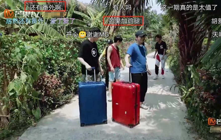 任嘉伦|《向往4》首个番外篇,献给了任嘉伦和谭松韵,人气高就是不一样