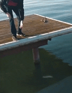 网恋|搞笑GIF:网恋有风险,大家需谨慎,这叫胖吗?差评!