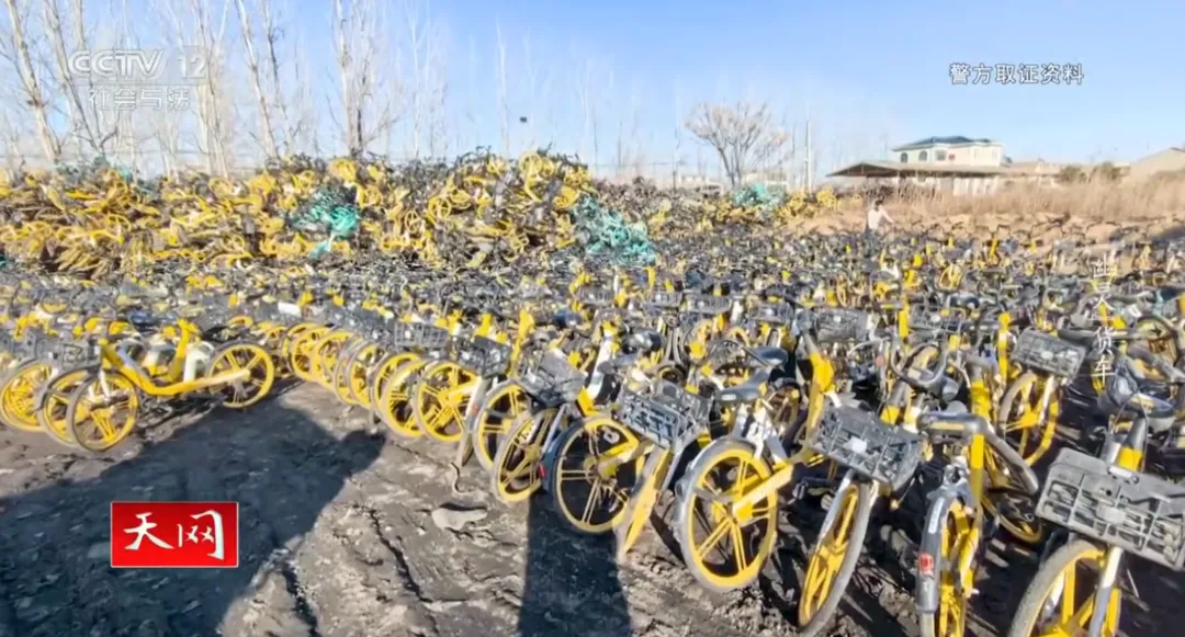 t11508c75c8ba15dad174cd9021.png?size=108