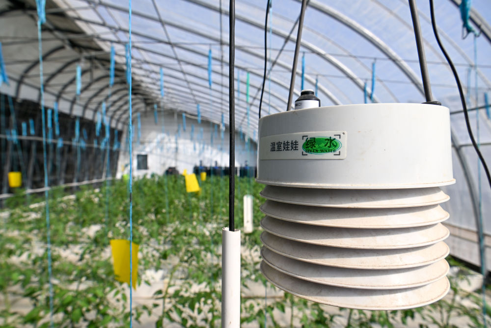 t11508c75c8c3060f64b1ff8649.jpg?size=100